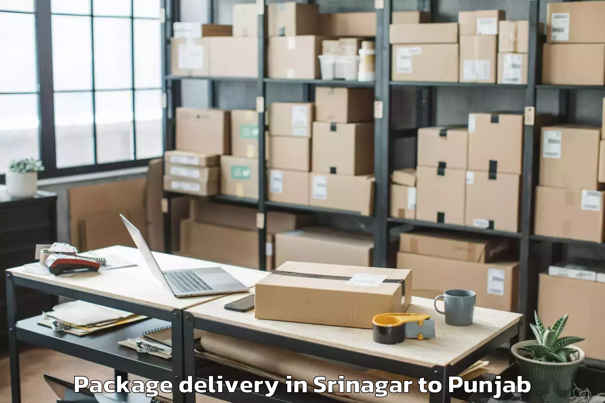 Quality Srinagar to Ajnala Package Delivery